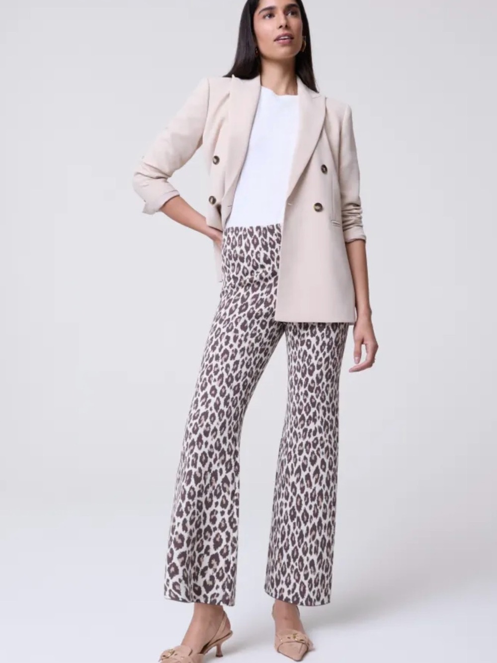 Ann Taylor The Flare Sweater Pant In Animal Print